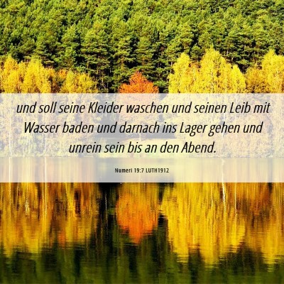 Picture 06 - Numeri 19:7 LUTH1912 - und soll seine Kleider waschen und seinen Leib - Bible Verse Picture