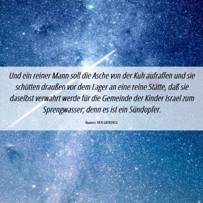 Picture 06 - Numeri 19:9 LUTH1912 - Und ein reiner Mann soll die Asche von der Kuh - Bible Verse Picture