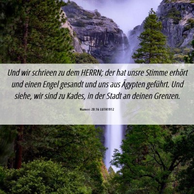 Picture 06 - Numeri 20:16 LUTH1912 - Und wir schrieen zu dem HERRN; der hat unsre - Bible Verse Picture