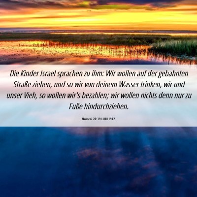 Picture 06 - Numeri 20:19 LUTH1912 - Die Kinder Israel sprachen zu ihm: Wir wollen auf - Bible Verse Picture