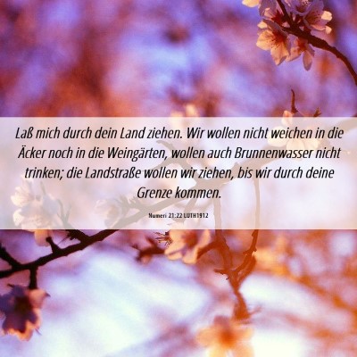 Picture 06 - Numeri 21:22 LUTH1912 - Laß mich durch dein Land ziehen. Wir wollen - Bible Verse Picture