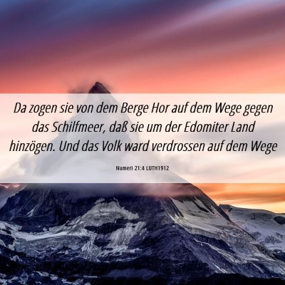 Picture 06 - Numeri 21:4 LUTH1912 - Da zogen sie von dem Berge Hor auf dem Wege gegen - Bible Verse Picture