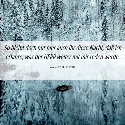 Picture 06 - Numeri 22:19 LUTH1912 - So bleibt doch nur hier auch ihr diese Nacht, - Bible Verse Picture