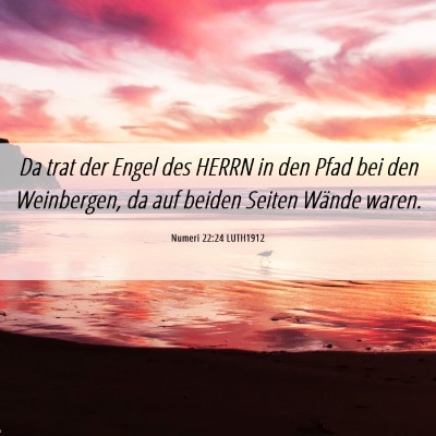 Picture 06 - Numeri 22:24 LUTH1912 - Da trat der Engel des HERRN in den Pfad bei den - Bible Verse Picture