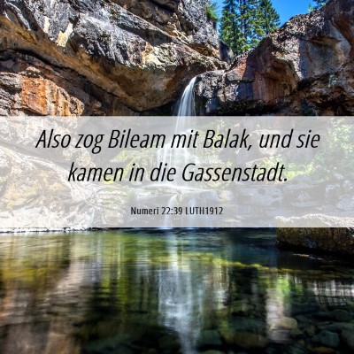 Picture 06 - Numeri 22:39 LUTH1912 - Also zog Bileam mit Balak, und sie kamen in die - Bible Verse Picture