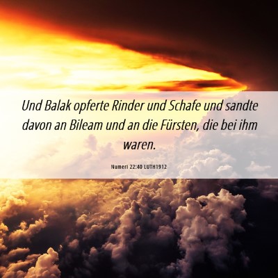 Picture 06 - Numeri 22:40 LUTH1912 - Und Balak opferte Rinder und Schafe und sandte - Bible Verse Picture