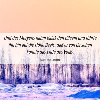 Picture 06 - Numeri 22:41 LUTH1912 - Und des Morgens nahm Balak den Bileam und führte - Bible Verse Picture