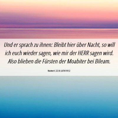 Picture 06 - Numeri 22:8 LUTH1912 - Und er sprach zu ihnen: Bleibt hier über Nacht, - Bible Verse Picture