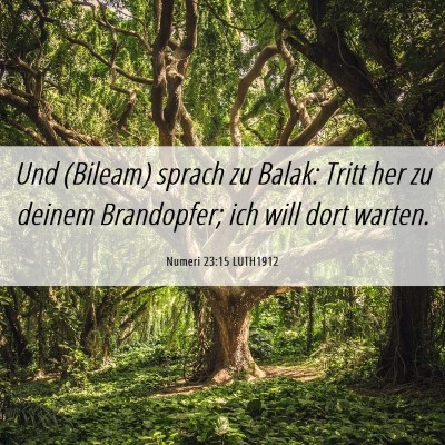 Picture 06 - Numeri 23:15 LUTH1912 - Und (Bileam) sprach zu Balak: Tritt her zu deinem - Bible Verse Picture