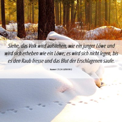 Picture 06 - Numeri 23:24 LUTH1912 - Siehe, das Volk wird aufstehen, wie ein junger - Bible Verse Picture
