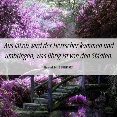 Picture 06 - Numeri 24:19 LUTH1912 - Aus Jakob wird der Herrscher kommen und - Bible Verse Picture