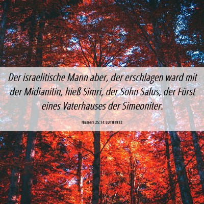 Picture 06 - Numeri 25:14 LUTH1912 - Der israelitische Mann aber, der erschlagen ward - Bible Verse Picture