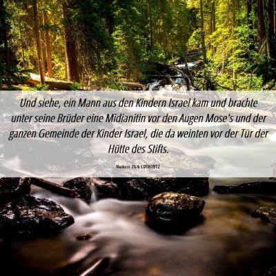 Picture 06 - Numeri 25:6 LUTH1912 - Und siehe, ein Mann aus den Kindern Israel kam - Bible Verse Picture