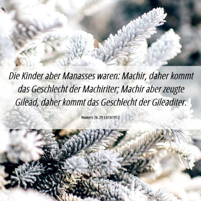 Picture 06 - Numeri 26:29 LUTH1912 - Die Kinder aber Manasses waren: Machir, daher - Bible Verse Picture