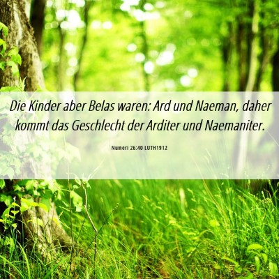 Picture 06 - Numeri 26:40 LUTH1912 - Die Kinder aber Belas waren: Ard und Naeman, - Bible Verse Picture