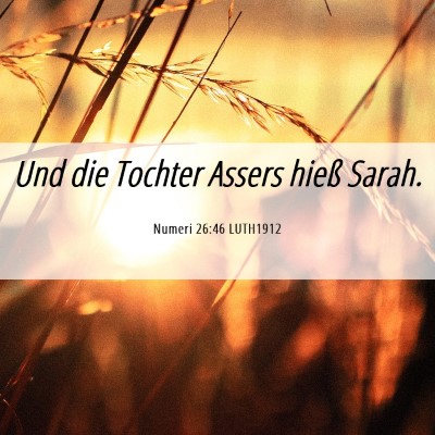 Picture 06 - Numeri 26:46 LUTH1912 - Und die Tochter Assers hieß - Bible Verse Picture
