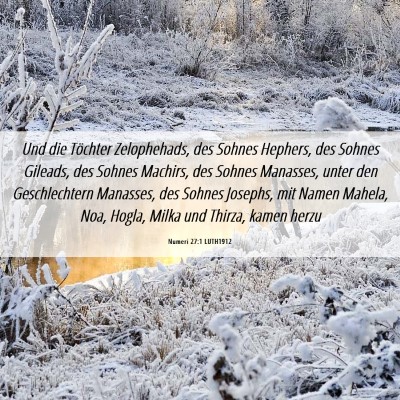 Picture 06 - Numeri 27:1 LUTH1912 - Und die Töchter Zelophehads, des Sohnes Hephers, - Bible Verse Picture