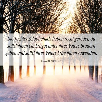 Picture 06 - Numeri 27:7 LUTH1912 - Die Töchter Zelophehads haben recht geredet; du - Bible Verse Picture