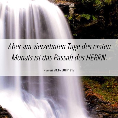 Picture 06 - Numeri 28:16 LUTH1912 - Aber am vierzehnten Tage des ersten Monats ist - Bible Verse Picture