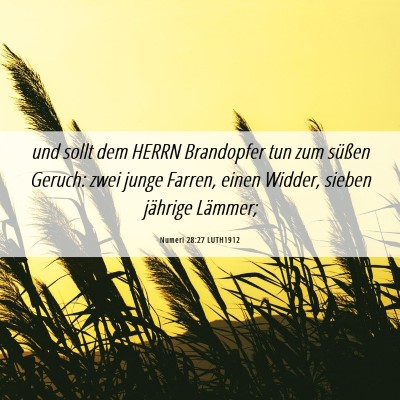 Picture 06 - Numeri 28:27 LUTH1912 - und sollt dem HERRN Brandopfer tun zum süßen - Bible Verse Picture