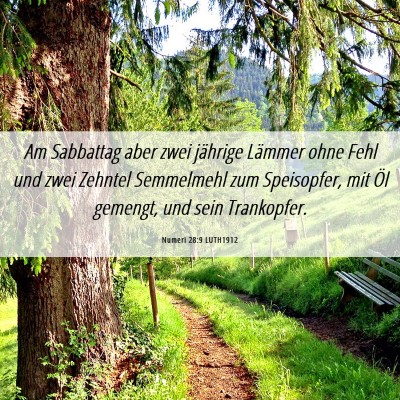 Picture 06 - Numeri 28:9 LUTH1912 - Am Sabbattag aber zwei jährige Lämmer ohne Fehl - Bible Verse Picture