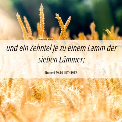 Picture 06 - Numeri 29:10 LUTH1912 - und ein Zehntel je zu einem Lamm der sieben - Bible Verse Picture