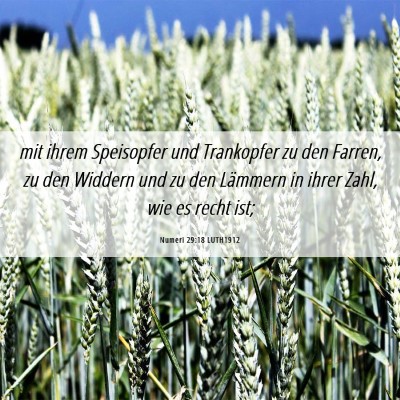 Picture 06 - Numeri 29:18 LUTH1912 - mit ihrem Speisopfer und Trankopfer zu den - Bible Verse Picture