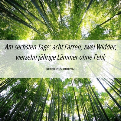 Picture 06 - Numeri 29:29 LUTH1912 - Am sechsten Tage: acht Farren, zwei Widder, - Bible Verse Picture