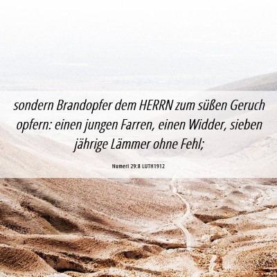 Picture 06 - Numeri 29:8 LUTH1912 - sondern Brandopfer dem HERRN zum süßen Geruch - Bible Verse Picture