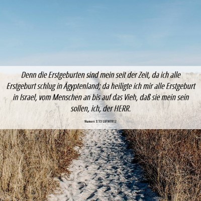Picture 06 - Numeri 3:13 LUTH1912 - Denn die Erstgeburten sind mein seit der Zeit, da - Bible Verse Picture