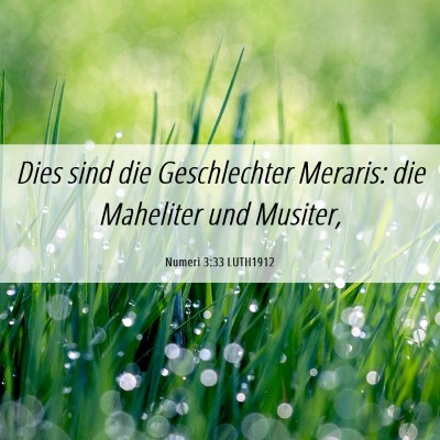 Picture 06 - Numeri 3:33 LUTH1912 - Dies sind die Geschlechter Meraris: die Maheliter - Bible Verse Picture