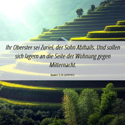 Picture 06 - Numeri 3:35 LUTH1912 - Ihr Oberster sei Zuriel, der Sohn Abihails. Und - Bible Verse Picture