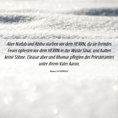 Picture 06 - Numeri 3:4 LUTH1912 - Aber Nadab und Abihu starben vor dem HERRN, da - Bible Verse Picture