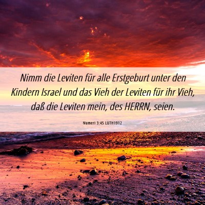 Picture 06 - Numeri 3:45 LUTH1912 - Nimm die Leviten für alle Erstgeburt unter den - Bible Verse Picture