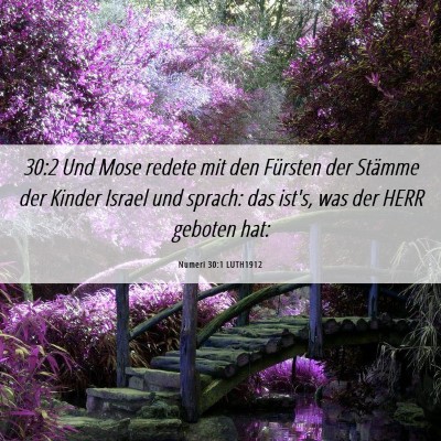 Picture 06 - Numeri 30:1 LUTH1912 - 30:2 Und Mose redete mit den Fürsten der Stämme - Bible Verse Picture