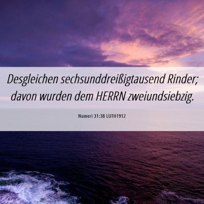 Picture 06 - Numeri 31:38 LUTH1912 - Desgleichen sechsunddreißigtausend Rinder; davon - Bible Verse Picture
