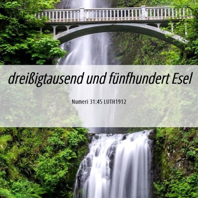 Picture 06 - Numeri 31:45 LUTH1912 - dreißigtausend und fünfhundert - Bible Verse Picture