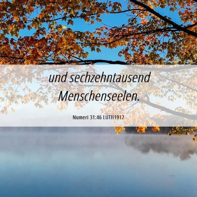 Picture 06 - Numeri 31:46 LUTH1912 - und sechzehntausend - Bible Verse Picture
