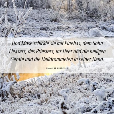 Picture 06 - Numeri 31:6 LUTH1912 - Und Mose schickte sie mit Pinehas, dem Sohn - Bible Verse Picture