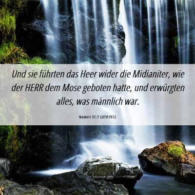 Picture 06 - Numeri 31:7 LUTH1912 - Und sie führten das Heer wider die Midianiter, - Bible Verse Picture