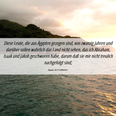 Picture 06 - Numeri 32:11 LUTH1912 - Diese Leute, die aus Ägypten gezogen sind, von - Bible Verse Picture