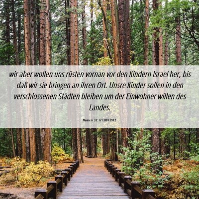 Picture 06 - Numeri 32:17 LUTH1912 - wir aber wollen uns rüsten vornan vor den - Bible Verse Picture