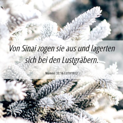 Picture 06 - Numeri 33:16 LUTH1912 - Von Sinai zogen sie aus und lagerten sich bei den - Bible Verse Picture