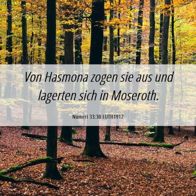 Picture 06 - Numeri 33:30 LUTH1912 - Von Hasmona zogen sie aus und lagerten sich in - Bible Verse Picture