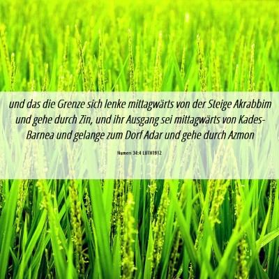 Picture 06 - Numeri 34:4 LUTH1912 - und das die Grenze sich lenke mittagwärts von - Bible Verse Picture
