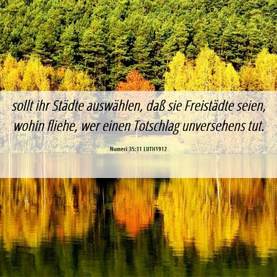 Picture 06 - Numeri 35:11 LUTH1912 - sollt ihr Städte auswählen, daß sie - Bible Verse Picture