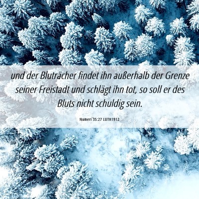Picture 06 - Numeri 35:27 LUTH1912 - und der Bluträcher findet ihn außerhalb der - Bible Verse Picture