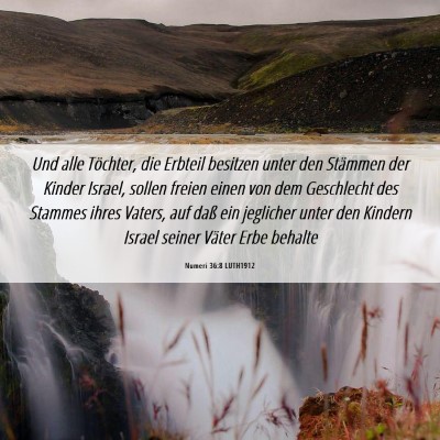 Picture 06 - Numeri 36:8 LUTH1912 - Und alle Töchter, die Erbteil besitzen unter den - Bible Verse Picture