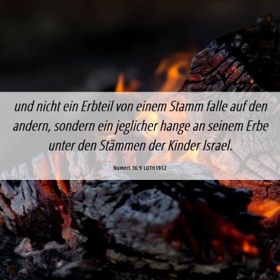 Picture 06 - Numeri 36:9 LUTH1912 - und nicht ein Erbteil von einem Stamm falle auf - Bible Verse Picture