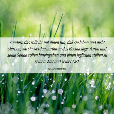 Picture 06 - Numeri 4:19 LUTH1912 - sondern das sollt ihr mit ihnen tun, daß sie - Bible Verse Picture